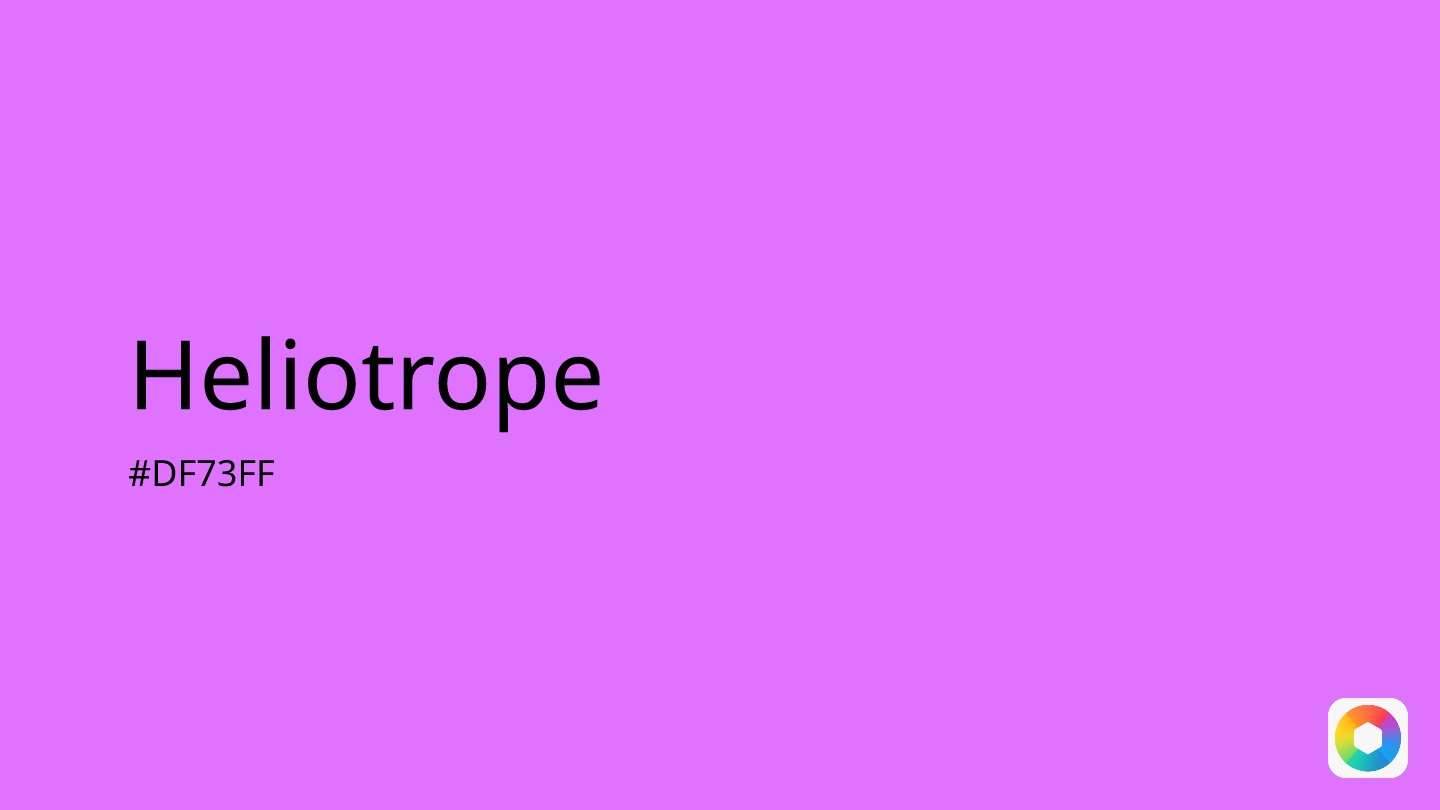 Heliotrope